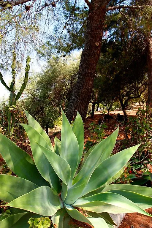Alloggio per agriturismo Fattoria Terra e Libertà Villa Contrada Maeggio